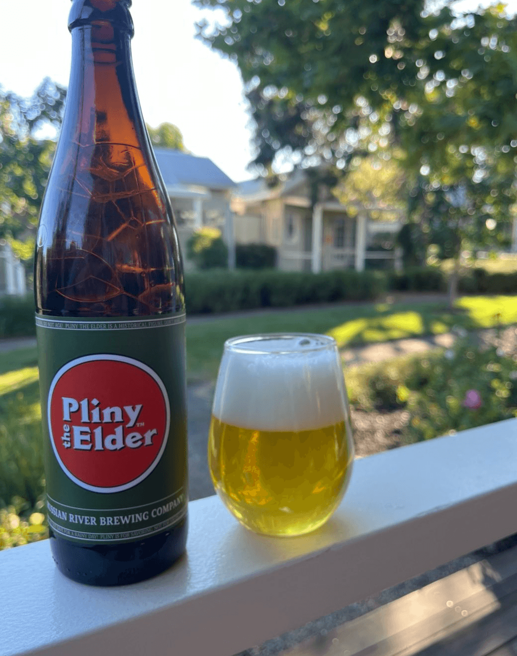 Pliny the Elder